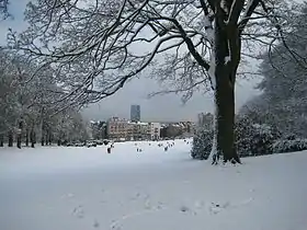 Image illustrative de l’article Parc de Forest