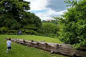 Image illustrative de l’article Villa Ghigi