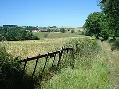 Photographie couleur d'un paysage légèrement vallonné avec champs, arbres et ciel bleu, barrière au premier plan