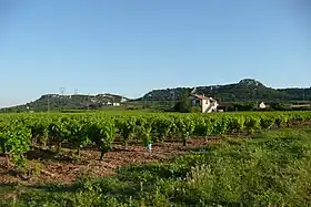 Image illustrative de l’article Saint-gervais (côtes-du-rhône villages)