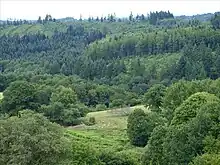 Près du Thaurion, commune de Châtelus-le-Marcheix