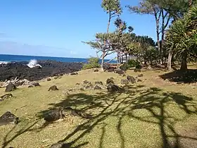 Paysage du puits des Anglais.