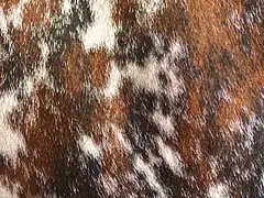 Détail robe bringée