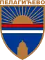 Blason de Pelagićevo