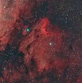 Image illustrative de l’article Nébuleuse du Pélican