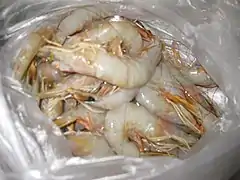 Fenneropenaeus merguiensis