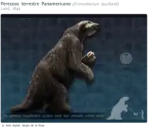 Reconstitution d'Eremotherium laurillardi