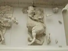 arrière d'un cheval cabré