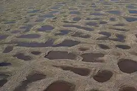 Paysage de polygones de toundra : en période de dégel, le réseau de coins de glace mis en relief (sol structuré).