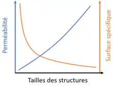 graphique présentant l'évolution de la surface spécifique et de la perméabilité d'une électrode de carbone avec l'augmentation de la taille des fibres. Les tendances sont opposées : quand la taille augmente, la perméabilité augmente et la surface baisse
