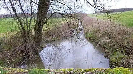 À L'Ermite, après la confluence avec la 2e branche (étang de Brion) et avant la confluence avec la 4e branche