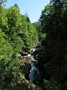 Les pertes de l'Ain.