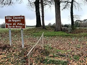 Vue générale du site