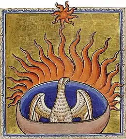 Phénix se consumant sur son bûcher.