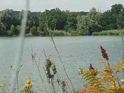 L'Étang de l'Épinoche au parc départemental.