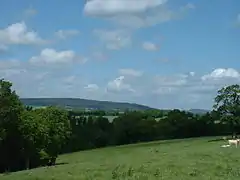 Photographie d'un paysage de prés et forêts.
