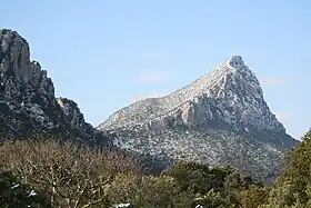Le pic Saint-Loup en hiver.