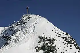 Vue du sommet du mont Fort.