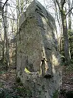 Le menhir de la Roche Piquée