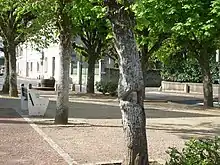 Photographie en couleurs d'une place ombragée avec des bancs.