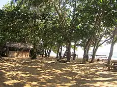 Plage aménagée à Grand Batanga.