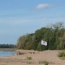 Vue à distance d'un groupe de naturistes, sur une plage fluviale de sable fin, dans un site arboré. On aperçoit sur la gauche le lit de la Loire. Un drapeau porteur du logotype de la FFN est planté dans le sable, près du groupe.