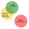 Agent pathogène absent.