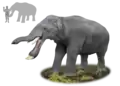 Vue d'artiste de Platybelodon grangeri avec comparaison de taille.