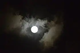 Image illustrative de l’article Ayyur