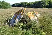 Dolmens de Kerboulen