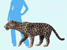 Recontruction avec comparaison taille humaine par Nobu Tamura