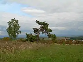 Vilémov (district d'Olomouc)