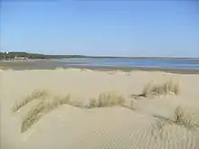 La côte de la baie vue depuis la pointe de la Coubre.