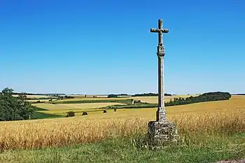Croix de dévotion sur la route de Frôlois Classé MH (1990).