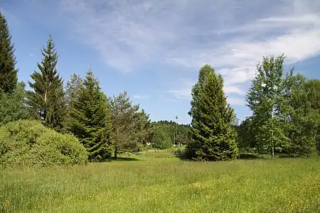 Zone humide de Polánka.