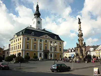 Hôtel de ville et colonne mariale.