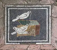 Mosaïque représentant des colombes et un coffre à bijoux (représentation de la richesse), maison du Faune.