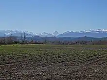 Photographie en couleurs d'un champ agricole, avec en fond des montagnes enneigées.