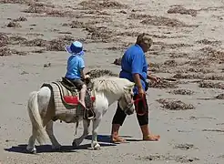 Un poney monté par un petit garçon et dont un homme tient la longe