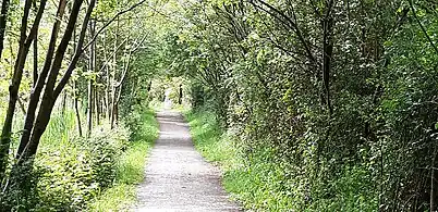 Chemin de randonnée