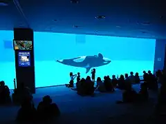 Aquarium du port de Nagoya