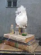 Potions et vieux grimoires