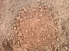 Terre rougeâtre et galets agglomérés