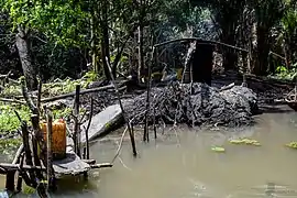 Préparation d'alcool de raphia.