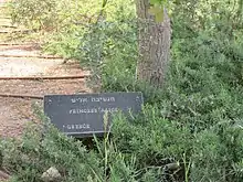 Plaque commémorative portant un texte en hebreux et en anglais placée au pied d'un arbre.