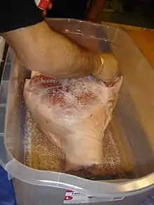Gros plan sur un bras d'homme en train de frotter de gros sel un énorme jambon placé dans un bassin en plastique transparent.