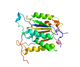 Image illustrative de l’article Caspase 6