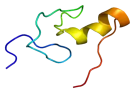 Image illustrative de l’article GATA1