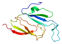 Image illustrative de l’article Protéine de voûte majeure