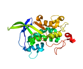 Image illustrative de l’article NPC1